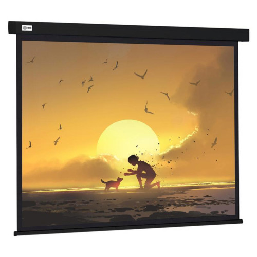 Экран Cactus 150x150см Wallscreen CS-PSW-150X150-BK 1:1 настенно-потолочный рулонный черный