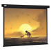 Экран Cactus 150x150см Wallscreen CS-PSW-150X150-BK 1:1 настенно-потолочный рулонный черный
