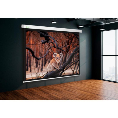 Экран Cactus 168x299см Wallscreen CS-PSW-168x299 16:9 настенно-потолочный рулонный белый