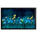 Экран на раме Cactus 113x200см FrameExpert CS-PSFRE-200X113 16:9 настенный натяжной Экран на раме Cactus 113x200см FrameExpert CS-PSFRE-200X113 16:9 настенный натяжной
