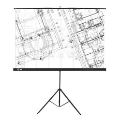 Экран Cactus 127x127см Triscreen CS-PST-127X127 1:1 напольный рулонный черный