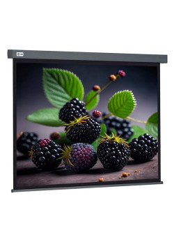 Экран Cactus 127x127см Wallscreen CS-PSW-127X127-SG 1:1 настенно-потолочный рулонный серый