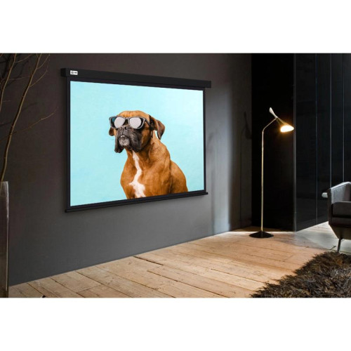 Экран Cactus 183x244см Wallscreen CS-PSW-183X244-BK 4:3 настенно-потолочный рулонный черный