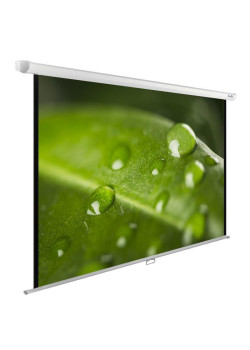 Экран Cactus 150x200см WallExpert CS-PSWE-200x150-WT 4:3 настенно-потолочный рулонный