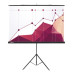 Экран Cactus 180x180см Triscreen CS-PST-180x180 1:1 напольный рулонный черный Экран Cactus 180x180см Triscreen CS-PST-180x180 1:1 напольный рулонный черный