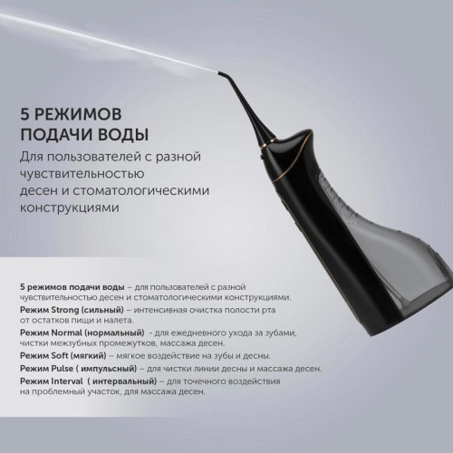 Ирригатор/ Ирригатор Polaris PWF 0201 импульсн. 5насад. черный