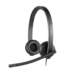 Гарнитура/ Logitech Headset H570E USB  Stereo OEM