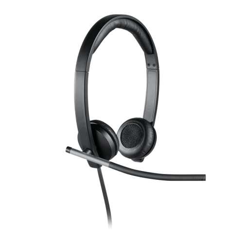 Гарнитура/ Logitech Headset H650E USB  Stereo OEM