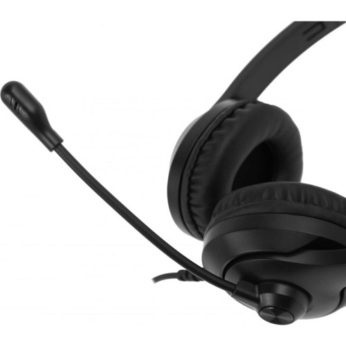 Наушники с микрофоном A4Tech Fstyler FH100 черный 2м накладные оголовье (FH100 (STONE BLACK))