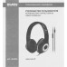 Наушники с микрофоном Sven AP-930M черный/серебристый 1.3м мониторные оголовье (SV-013608) Наушники с микрофоном Sven AP-930M черный/серебристый 1.3м мониторные оголовье (SV-013608)