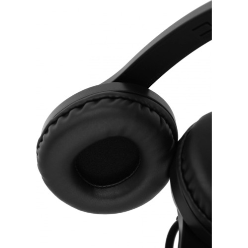 Наушники с микрофоном A4Tech Fstyler FH100 черный 2м накладные оголовье (FH100 (STONE BLACK)) Наушники с микрофоном A4Tech Fstyler FH100 черный 2м накладные оголовье (FH100 (STONE BLACK))