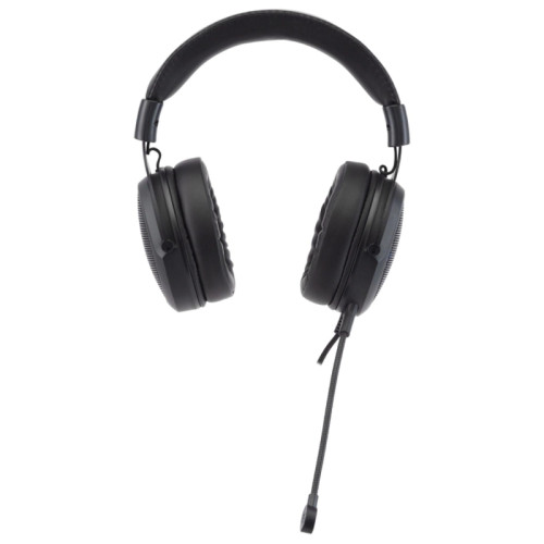 Наушники с микрофоном Acer AHW120 черный 2.1м мониторные USB оголовье (ZL.HDSCC.01C)