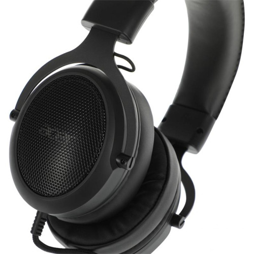 Наушники с микрофоном Acer AHW120 черный 2.1м мониторные USB оголовье (ZL.HDSCC.01C)