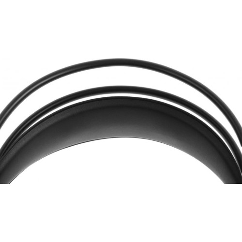 Наушники с микрофоном A4Tech Fstyler FH300U черный 2м мониторные USB оголовье (FH300U BLACK)