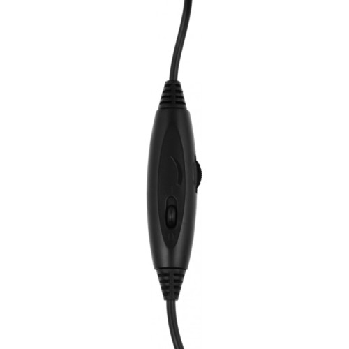 Наушники с микрофоном A4Tech HU-50 черный 2м накладные USB оголовье Наушники с микрофоном A4Tech HU-50 черный 2м накладные USB оголовье