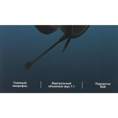 Наушники с микрофоном Acer AHW120 черный 2.1м мониторные USB оголовье (ZL.HDSCC.01C)