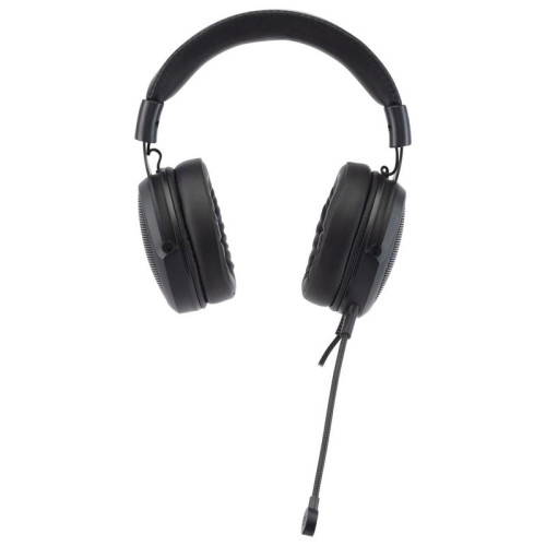 Наушники с микрофоном Acer AHW120 черный 2.1м мониторные USB оголовье (ZL.HDSCC.01C)