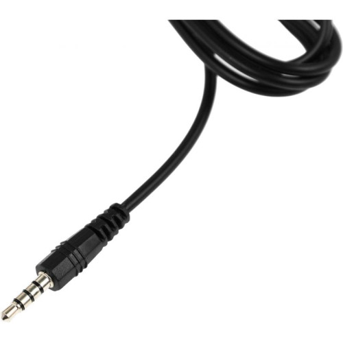 Наушники с микрофоном Sven AP-930M черный/серебристый 1.3м мониторные оголовье (SV-013608)