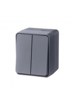 Выключатель/ AtlasDesign Profi54 выключатель двухклавишный IP54 10 АХ, антрацит, Россия