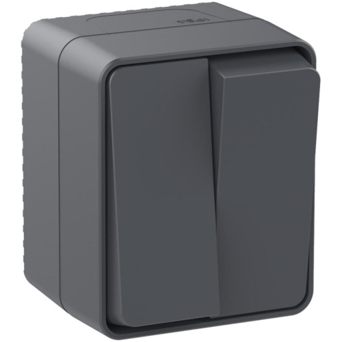 Выключатель/ AtlasDesign Profi54 выключатель двухклавишный IP54 10 АХ, антрацит, Россия