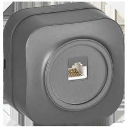 GLORY Розетка для открытой установки компьютерная RJ-45 кат.5E РК10-ХСм сталь матовый