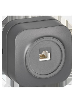 GLORY Розетка для открытой установки компьютерная RJ-45 кат.5E РК10-ХСм сталь матовый