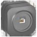 GLORY Розетка для открытой установки компьютерная RJ-45 кат.5E РК10-ХСм сталь матовый GLORY Розетка для открытой установки компьютерная RJ-45 кат.5E РК10-ХСм сталь матовый