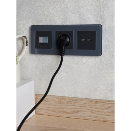 Розетка/ BRITE Розетка USB A+A 3.1А РЮ10-1-БрГ графит