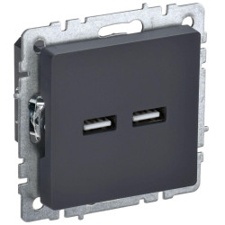 Розетка/ BRITE Розетка USB A+A 3.1А РЮ10-1-БрГ графит