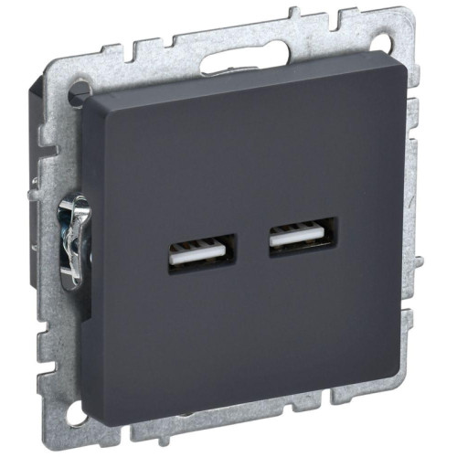 Розетка/ BRITE Розетка USB A+A 3.1А РЮ10-1-БрГ графит