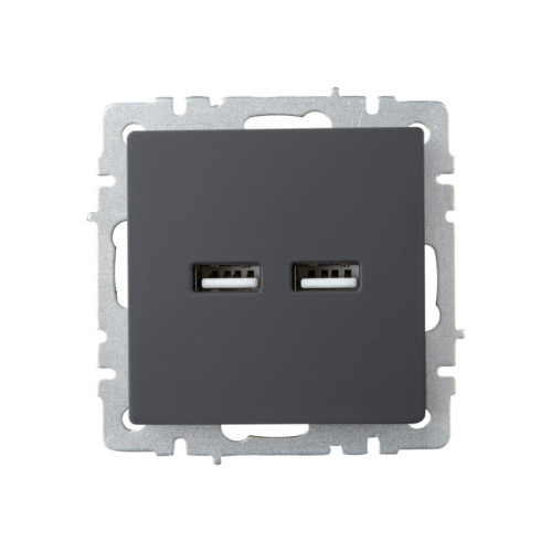 Розетка/ BRITE Розетка USB A+A 3.1А РЮ10-1-БрГ графит