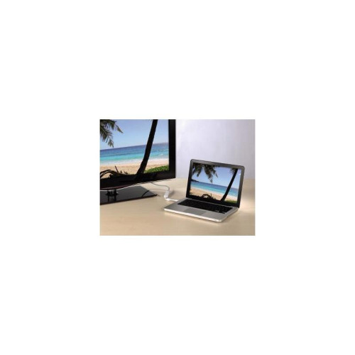 Адаптер Hama miniDisplayPort (m) DVI-D (f) 0.1м (00053248) феррит.кольца [00053248]