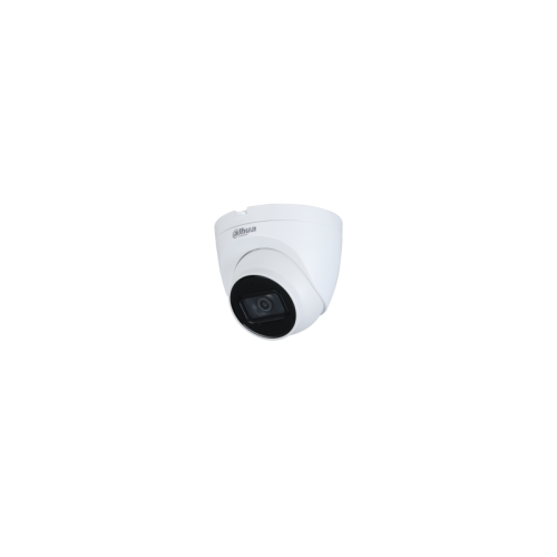 2MP Lite IR Fixed-focal Eyeball Network Camera
