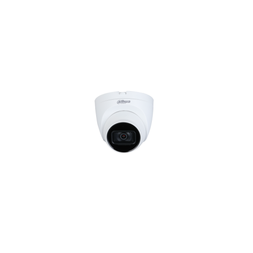 2MP Lite IR Fixed-focal Eyeball Network Camera