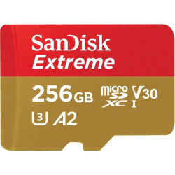 Карта памяти MICRO SDHC 256GB UHS-I SDSQXAV-256G-GN6MN SANDISK