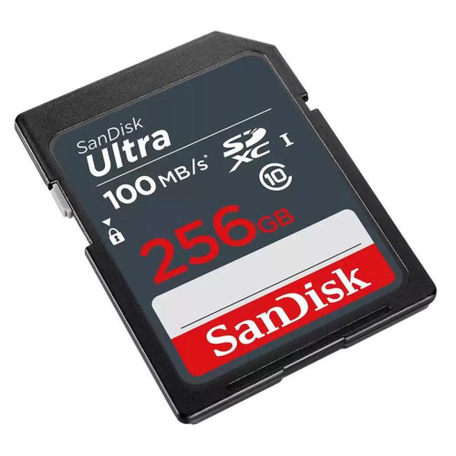 Карта памяти SanDisk SDXC 256GB UHS-I SDSDUNR-256G-GN3IN