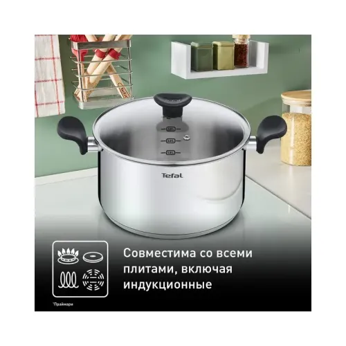 Кастрюля с крышкойTefal/ 2100120958
