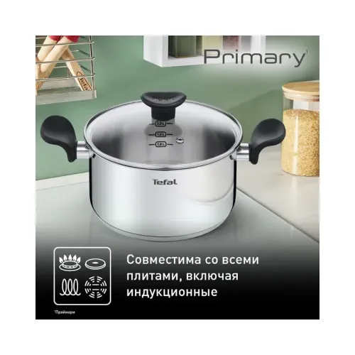 Кастрюля Tefal/ Кастрюля PRIMARY 20 с крышкой, материал: нержавеющая сталь