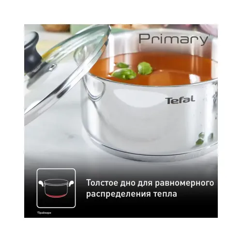 Кастрюля Tefal/ Кастрюля PRIMARY 20 с крышкой, материал: нержавеющая сталь