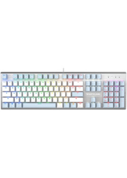 Клавиатура A4Tech Fstyler FS100 Neon механическая синий/белый USB for gamer LED (FS100)