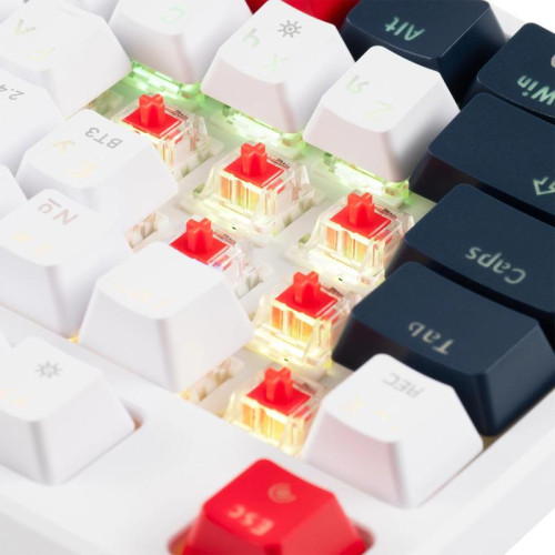 Клавиатура Acer OKR302 механическая белый USB беспроводная BT/Radio Multimedia for gamer для ноутбука LED (ZL.KBDEE.016)