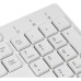 Клавиатура Oklick 500M белый USB slim Multimedia Клавиатура Oklick 500M белый USB slim Multimedia