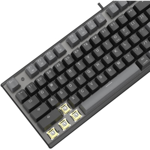 Клавиатура A4Tech Fstyler FS100 Neon механическая черный USB for gamer LED (FS100)