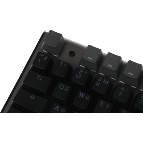 Клавиатура A4Tech Fstyler FS100 Neon механическая черный USB for gamer LED (FS100)