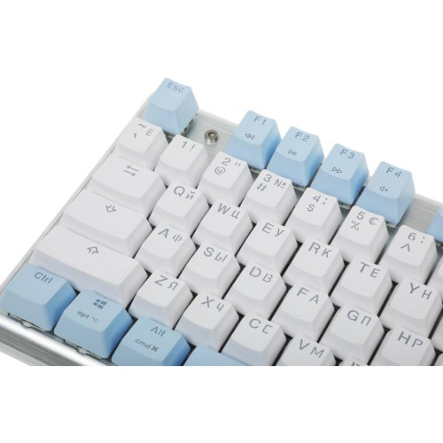 Клавиатура A4Tech Fstyler FS100 Neon механическая синий/белый USB for gamer LED (FS100)