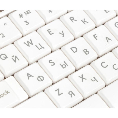 Клавиатура A4Tech Fstyler FK10 белый/серый USB (FK10 WHITE)