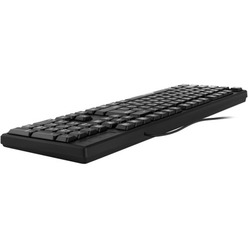 Клавиатура Oklick 100M HW3 черный USB (654570)
