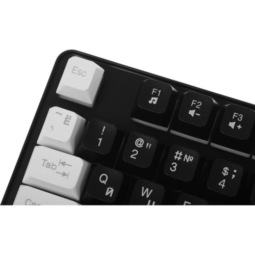 Клавиатура DEFENDER DARK KNIGHT GK-077 RU BL/WH 45077