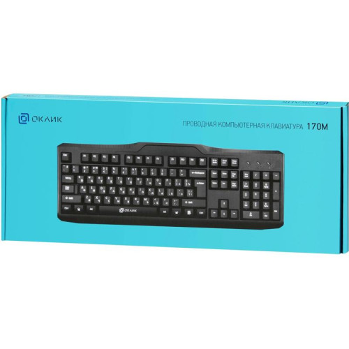 Клавиатура Oklick 170M черный USB (855272)