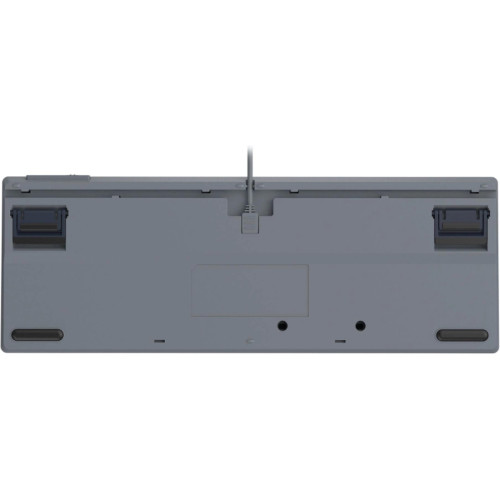 Клавиатура A4Tech Fstyler FS300 механическая черный/серый USB for gamer LED (FS300 PANDA ROCK)